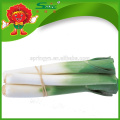 Hotsale Fresh leeks (allium tuberosum)